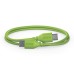 Rode SC22 30cm USB-C to USB-C Cable - Green
